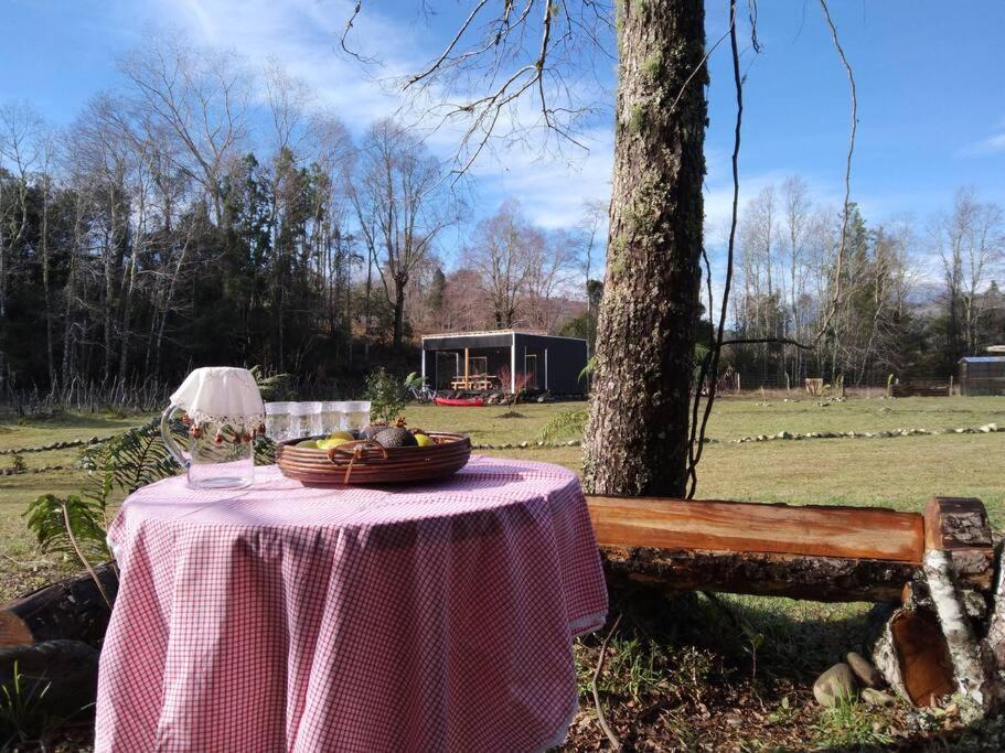 Casa de férias Linda Pet Friendly A Orilla Rio Y Bosque, Cerca Termas Panguipulli