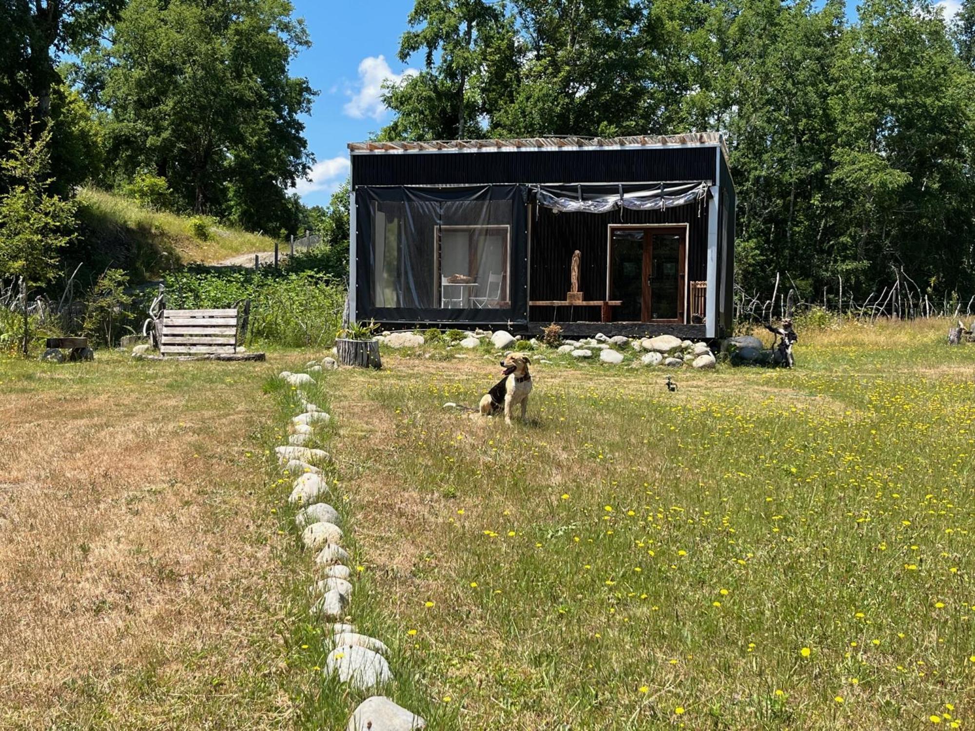 Linda Pet Friendly A Orilla Rio Y Bosque, Cerca Termas Casa de férias