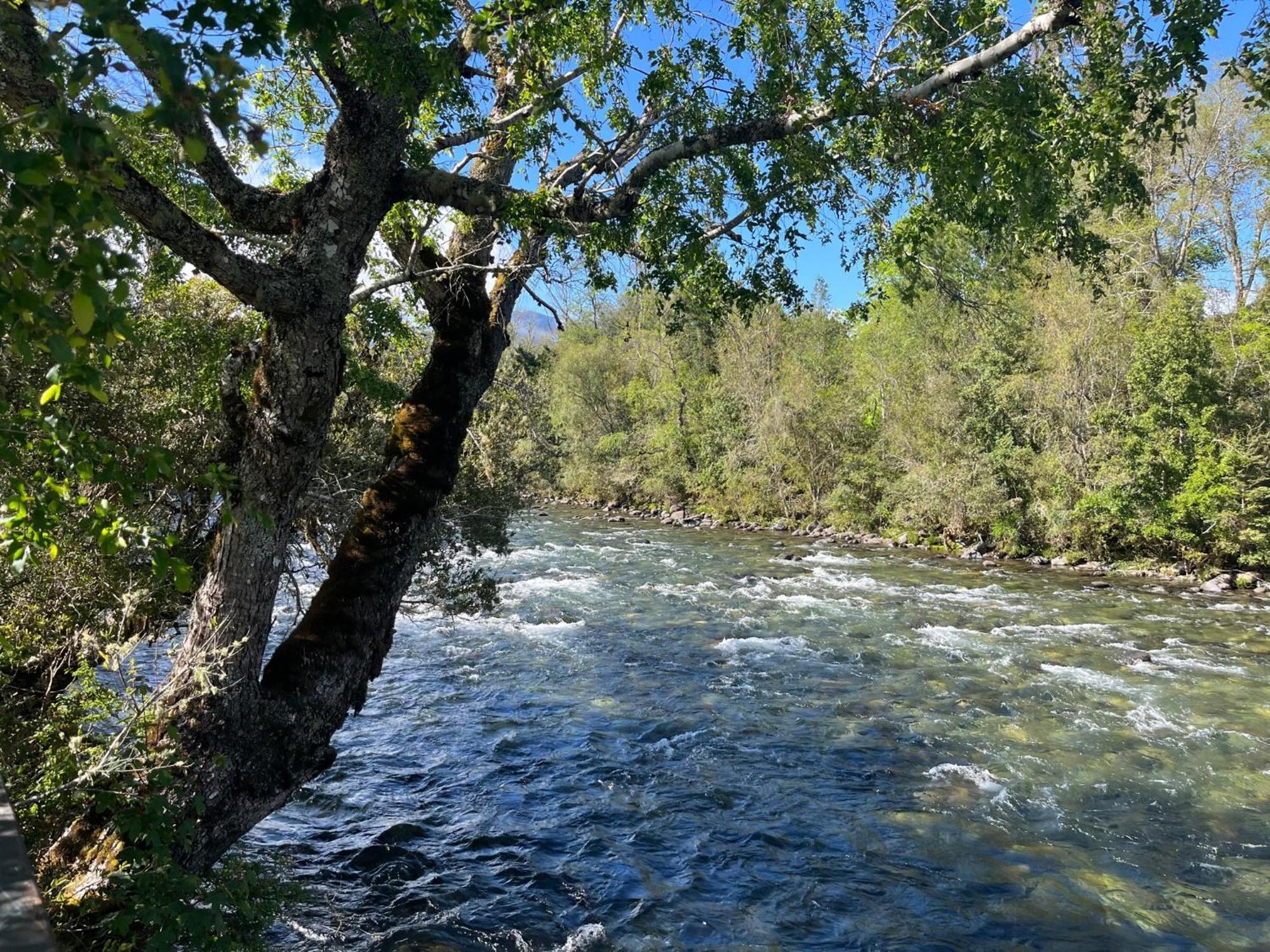 Linda Pet Friendly A Orilla Rio Y Bosque, Cerca Termas Casa de férias